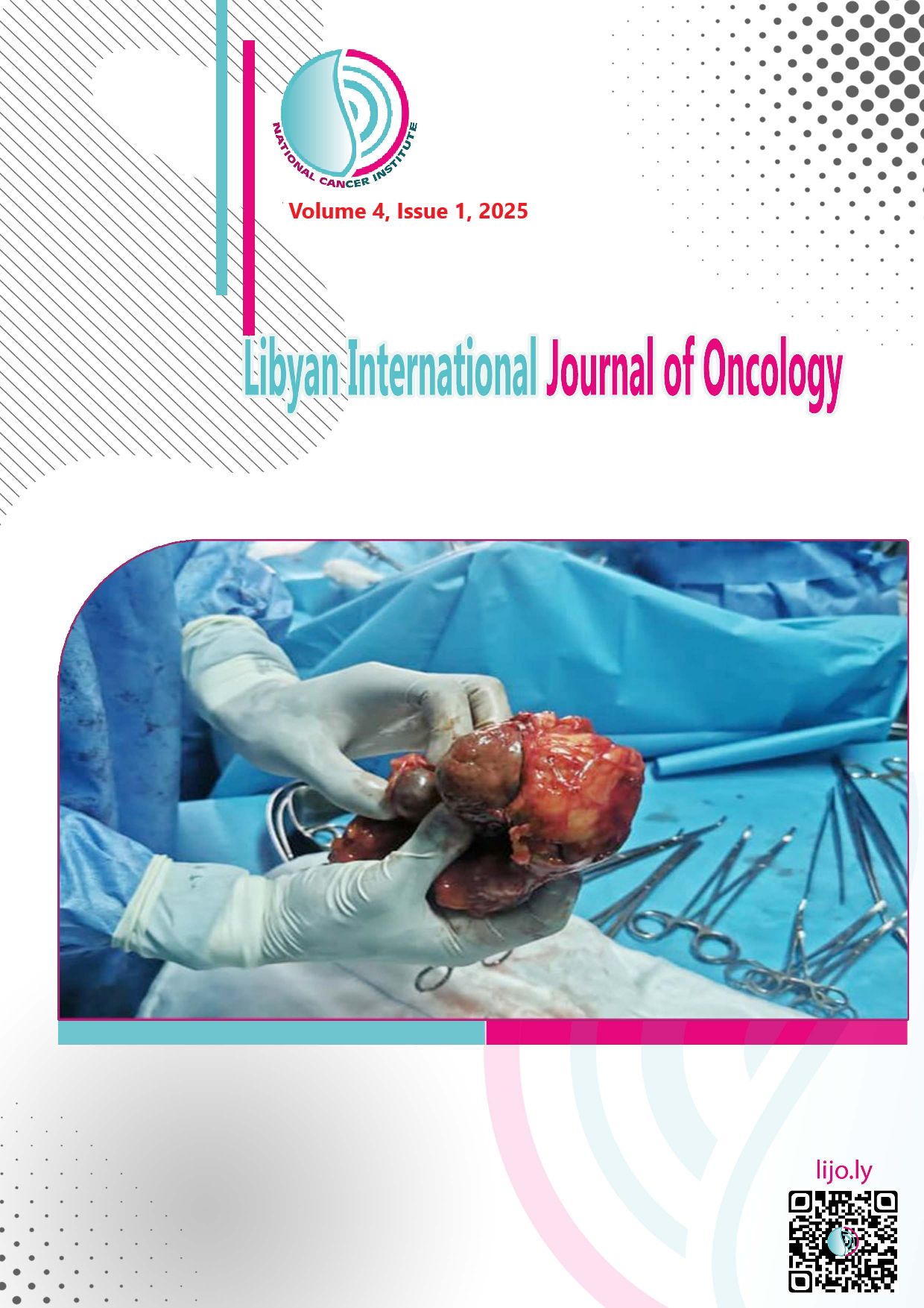 					View Volume 4, Issue 1, 2025
				